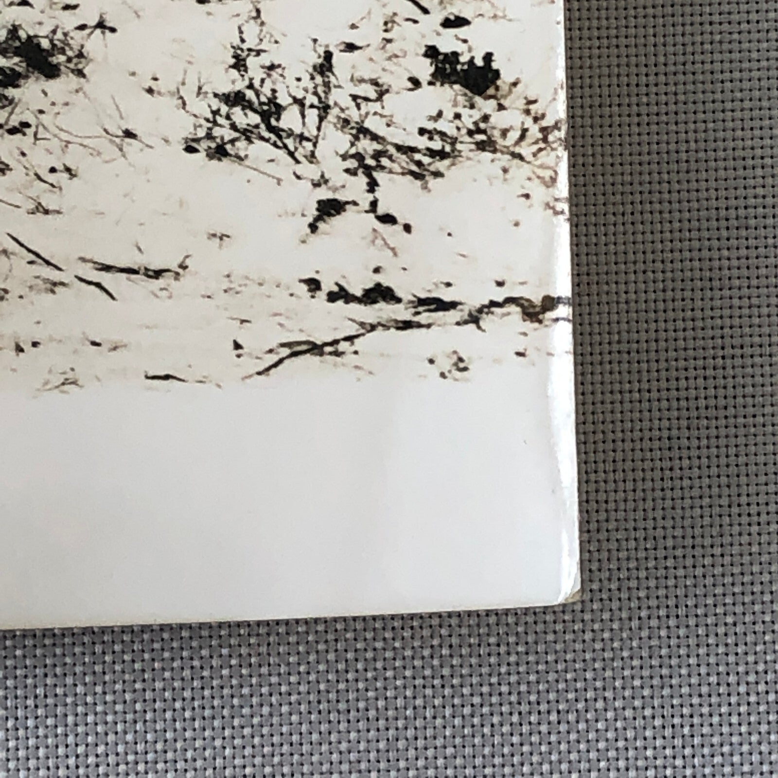 1964 Rallye Monte Carlo Rally DKW Audi Car Press Photo