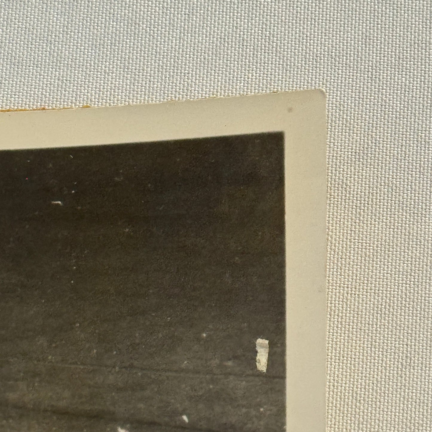 Vintage Arnolt Bristol Racing Car Photo Photograph Print Motorsport