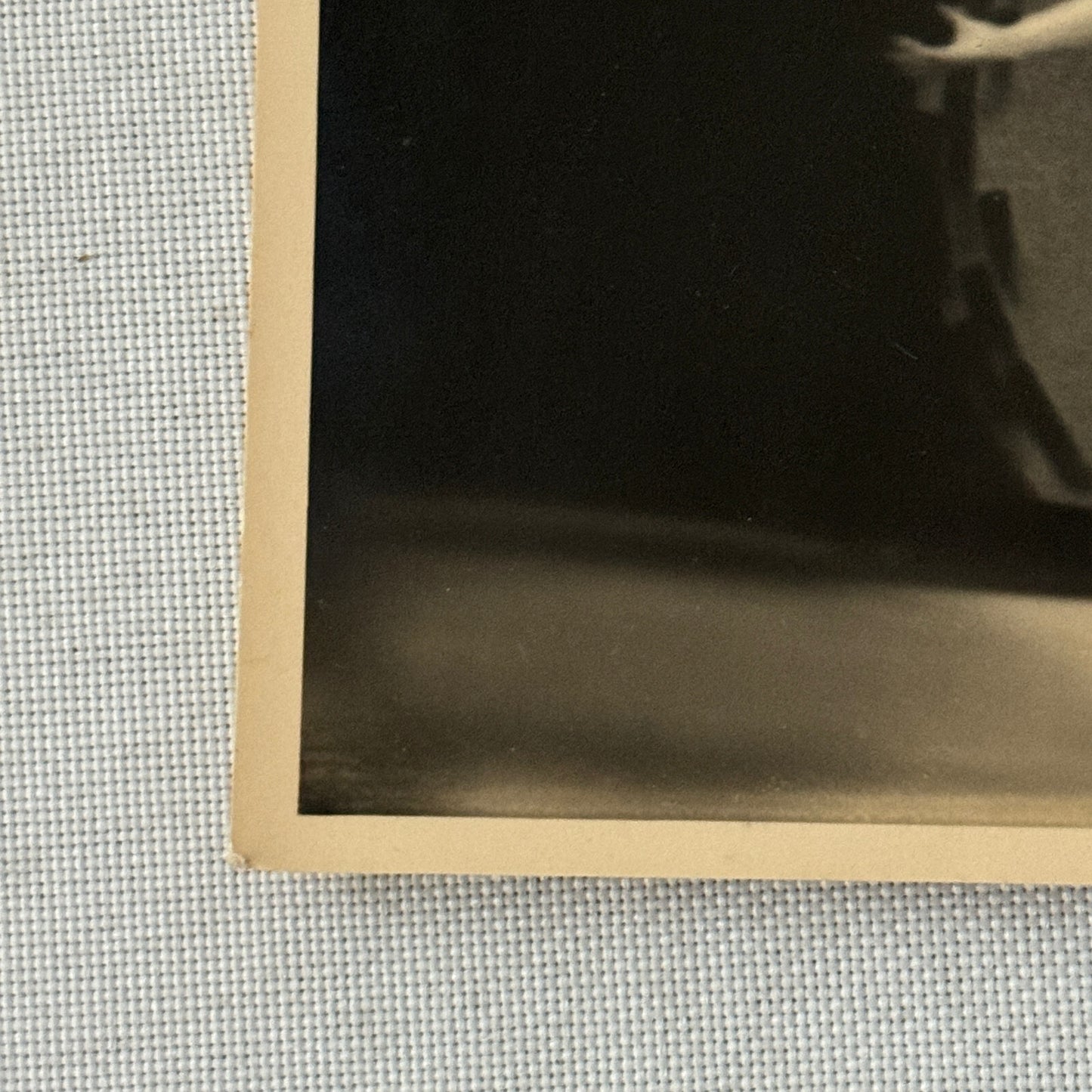 Vintage Circus Rollerskating Roller Skate Act Photo Photograph The Blizzards