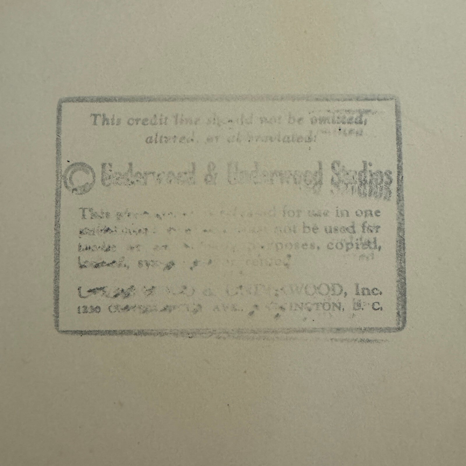 1932 Press Photo Photograph Wife of Swiss Legation Minister Marc Peter Vintage