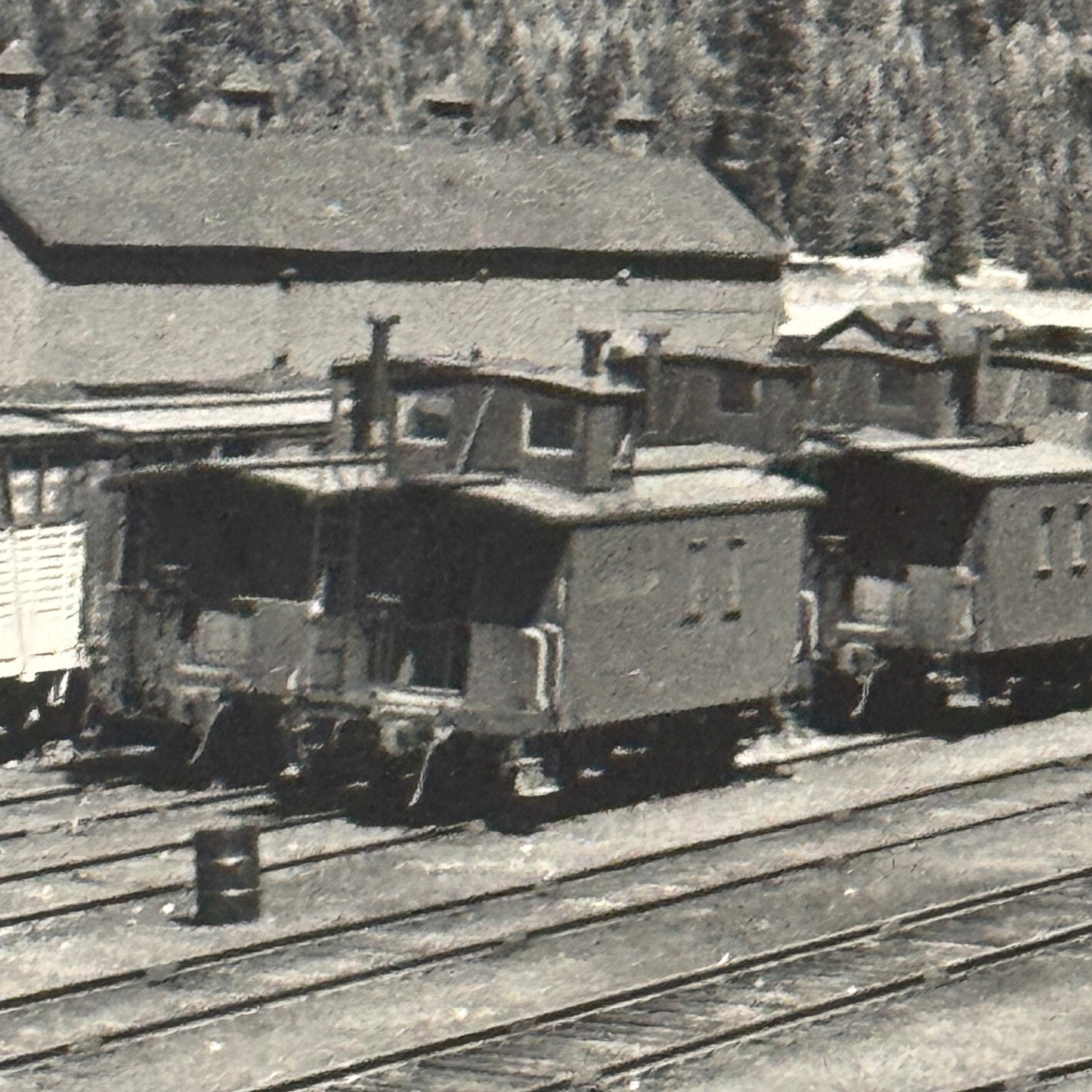 Vintage Train Railway Rail Photo Photograph CPR Yard Field British Columbia BC