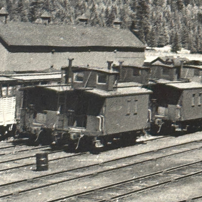 Vintage Train Railway Rail Photo Photograph CPR Yard Field British Columbia BC