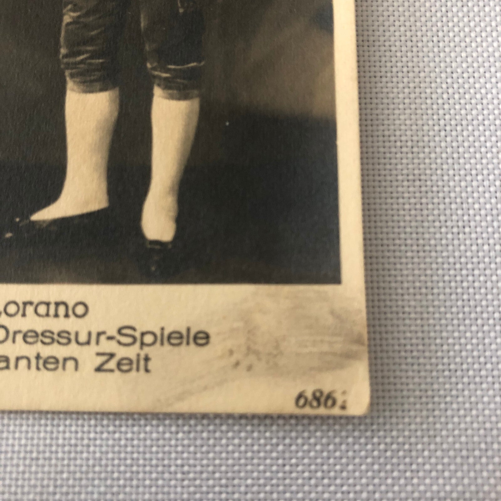 Circus Act with Birds Postcard Post Card Vintage Berlin Germany Fredy Lorano