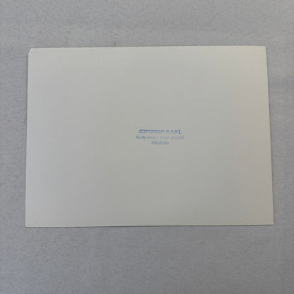 Vintage Rally Racing Photo Photograph Print DPPI Porsche 911 Volvo Car