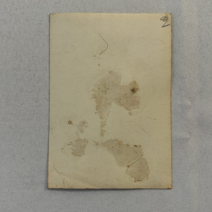 Vintage Circus Balancing Act Acrobat Postcard Post Card Burckh European