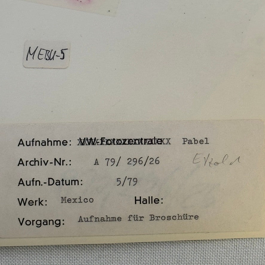 Vintage Volkswagen Mexico Car Transport Ship Boat Photo Photograph Print VW Bug