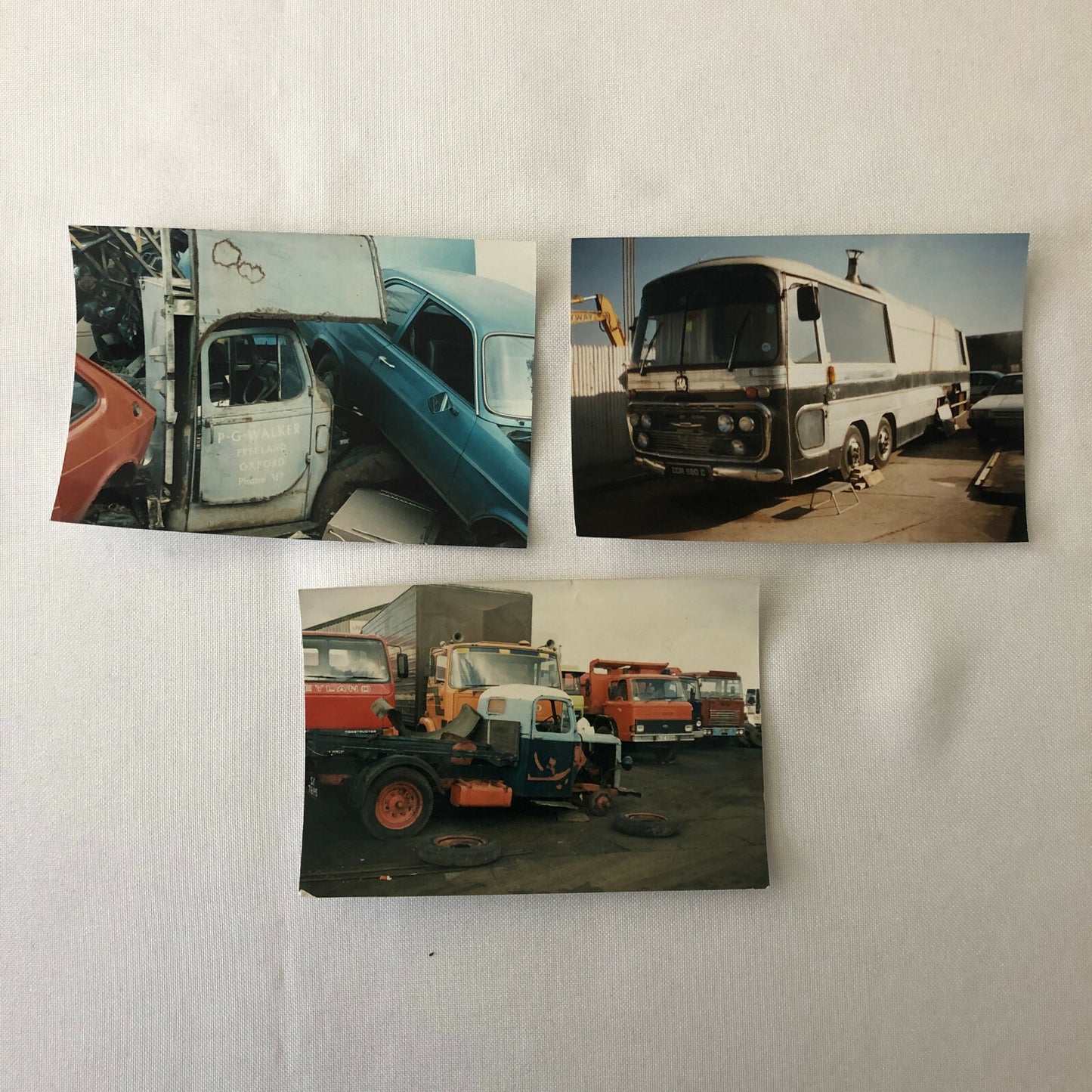 Vintage Bedford Truck Barn Find Junk Yard Parts Photo Photograph Print Lot 43x