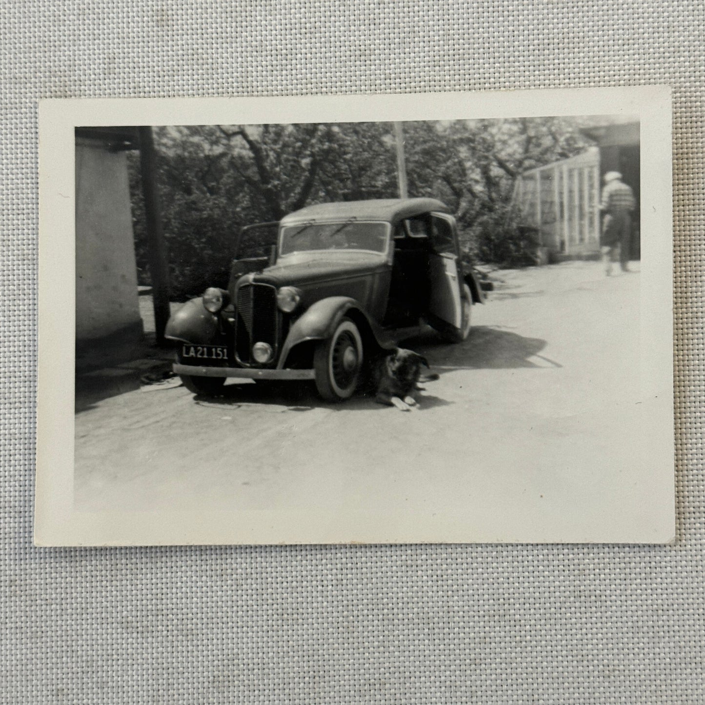 Dog with Antique Car Automobile Photo Photograph Lot of 2x Vintage