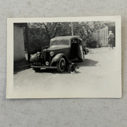 Dog with Antique Car Automobile Photo Photograph Lot of 2x Vintage