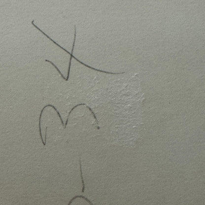 Vintage Car Racing Photo Circuit Mont Tremblant Quebec Photograph