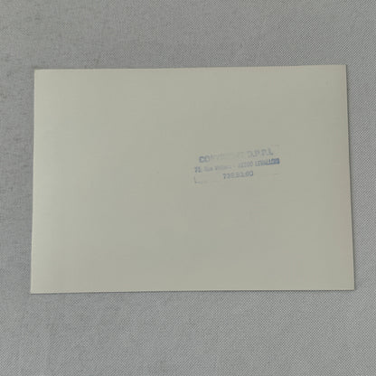 1980 Rallye Monte Carlo Press Photo Photograph DPPI Fiat 131 Abarth Car