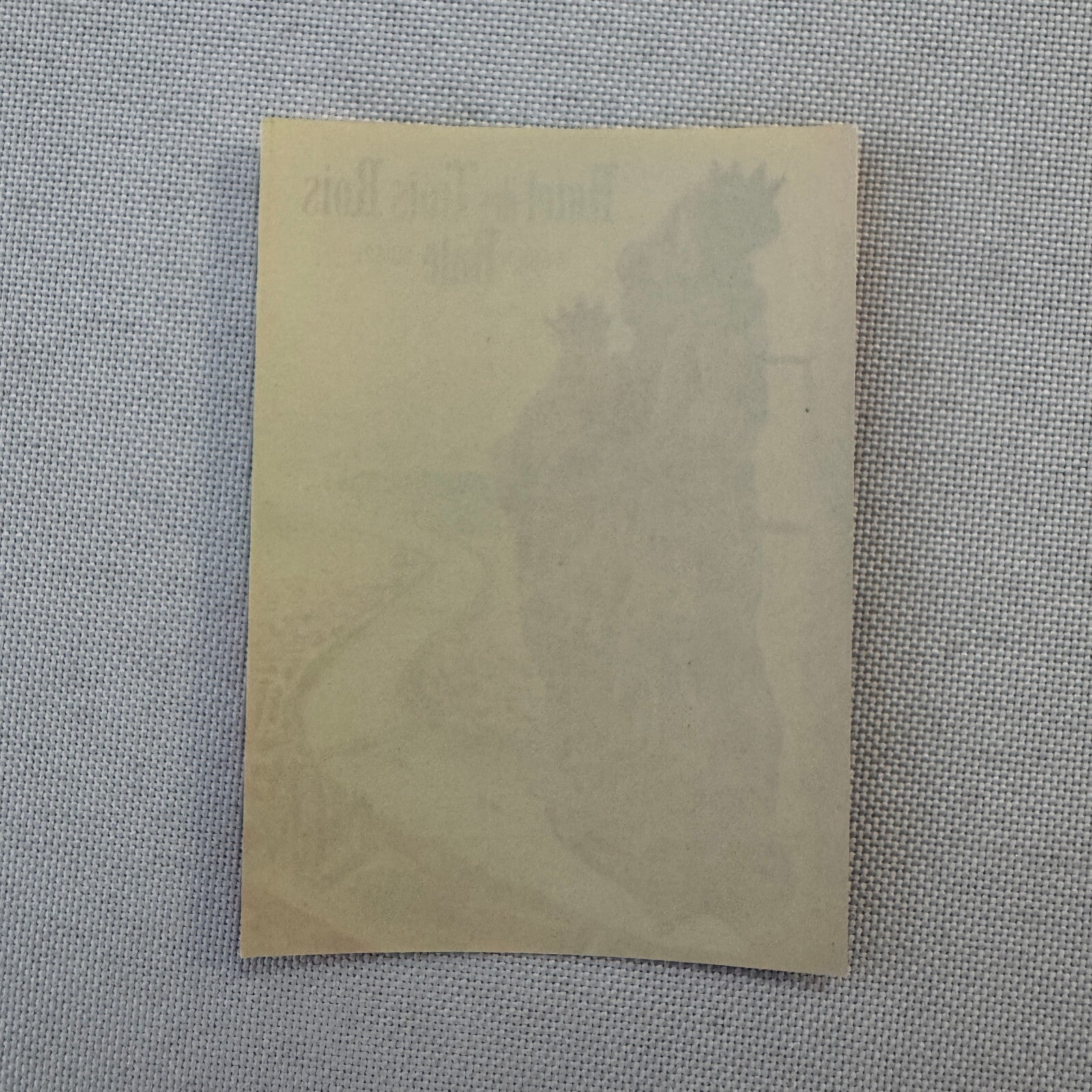 Vintage Hotel Travel Label Hotel de Trois Rois Switzerland Swiss