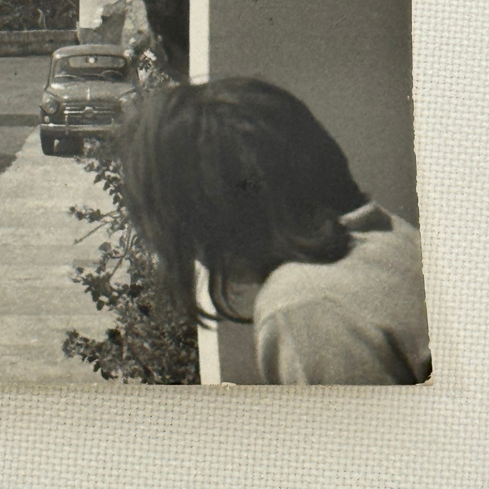 Abarth 1100 Bialbero Photo Vintage Photograph Racing Motorsport