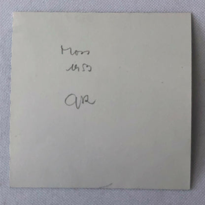 Vintage Stirling Moss Racing Driver Photo Photograph - 1953 ? 