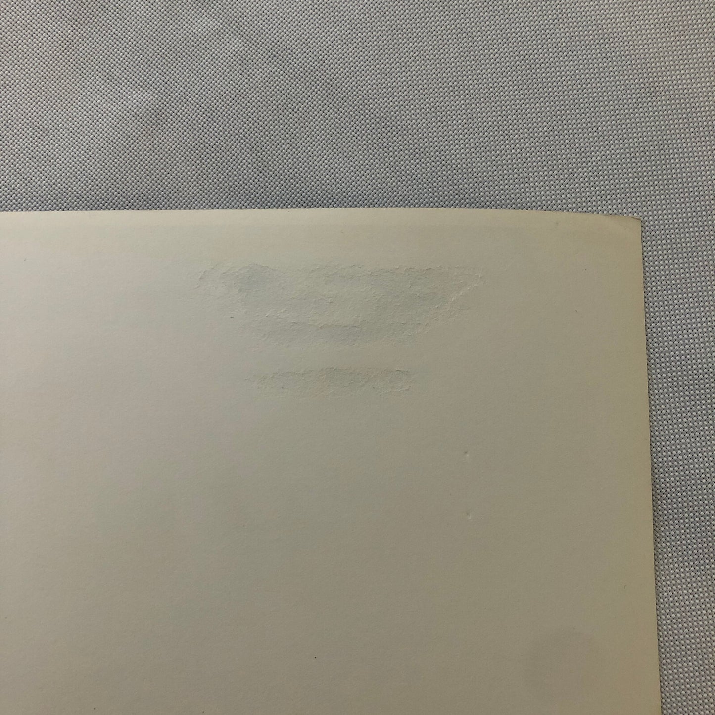 Volkswagen VW Beetle Factory Press Photo Photograph Print 1959