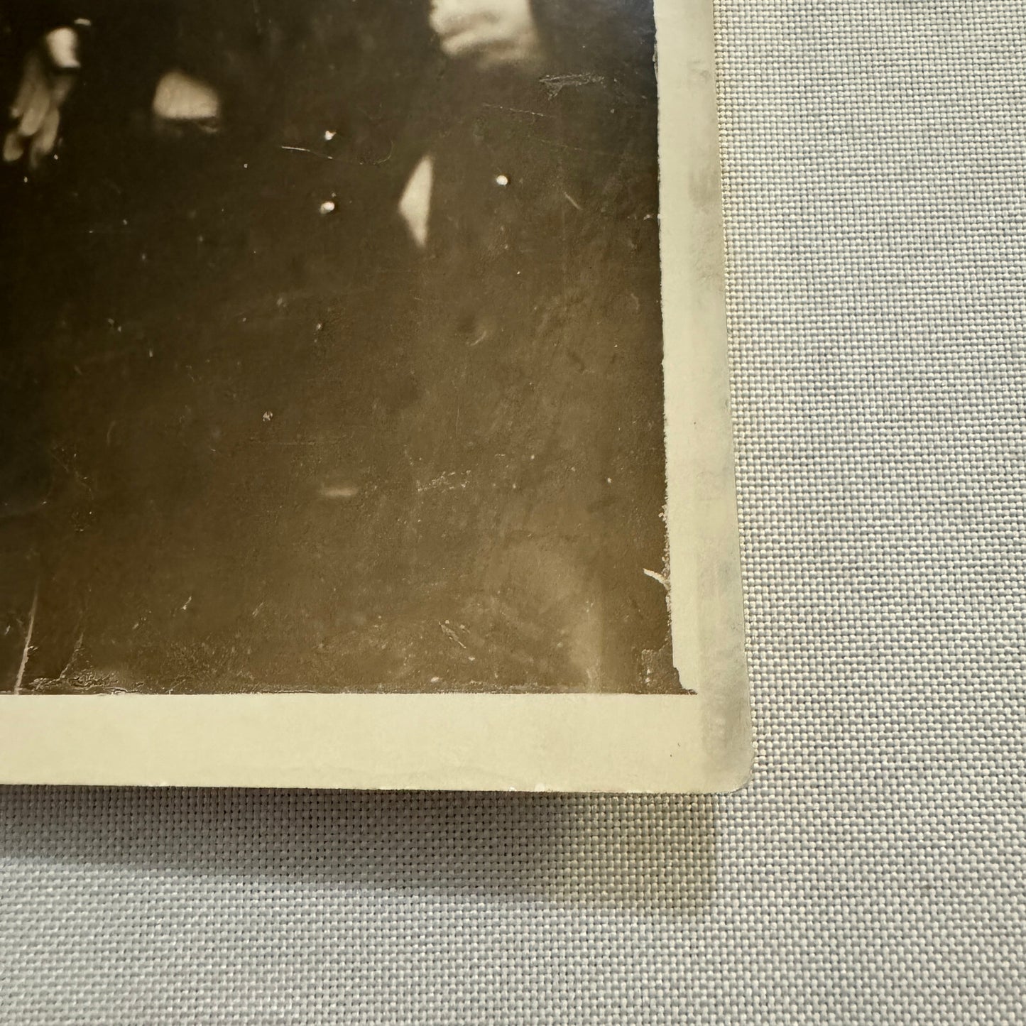 French President Paul Doumer at Bird Show Pony Press Photo Photograph France
