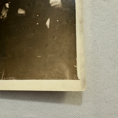 French President Paul Doumer at Bird Show Pony Press Photo Photograph France