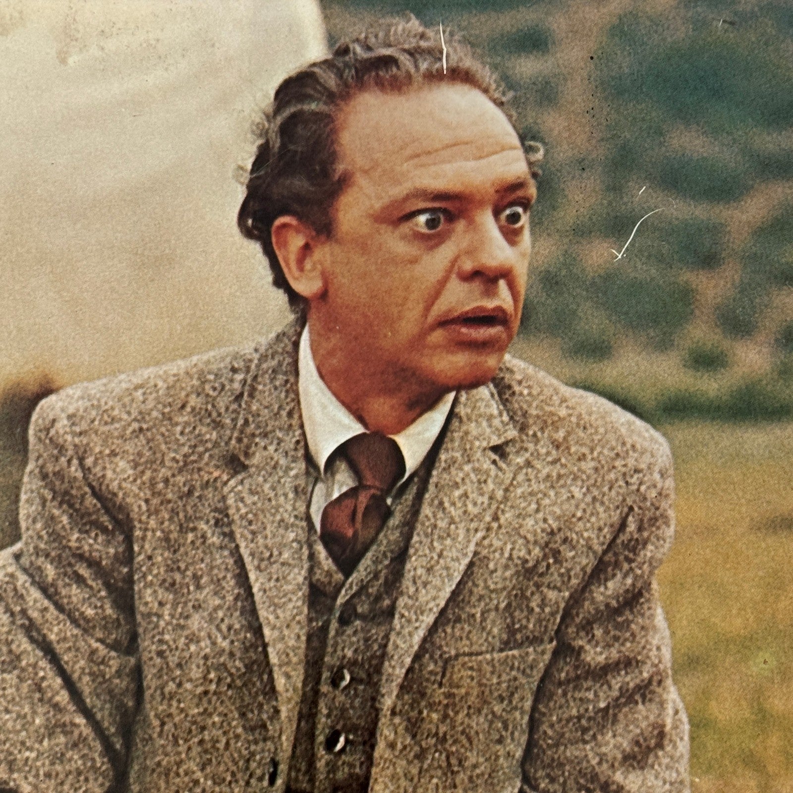 Don Knotts The Shakiest Gun in the West Vintage Movie Lobby Card Film