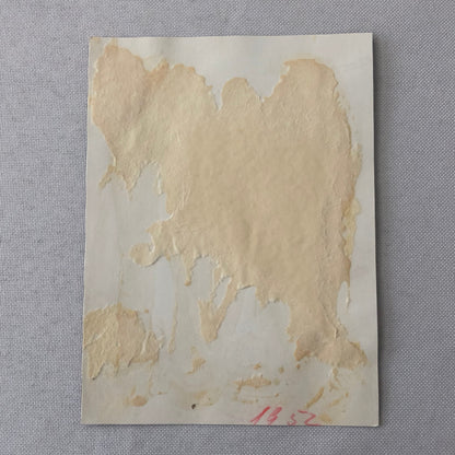 Vintage Motorcycle Racing Photo photograph Race Bike Rider