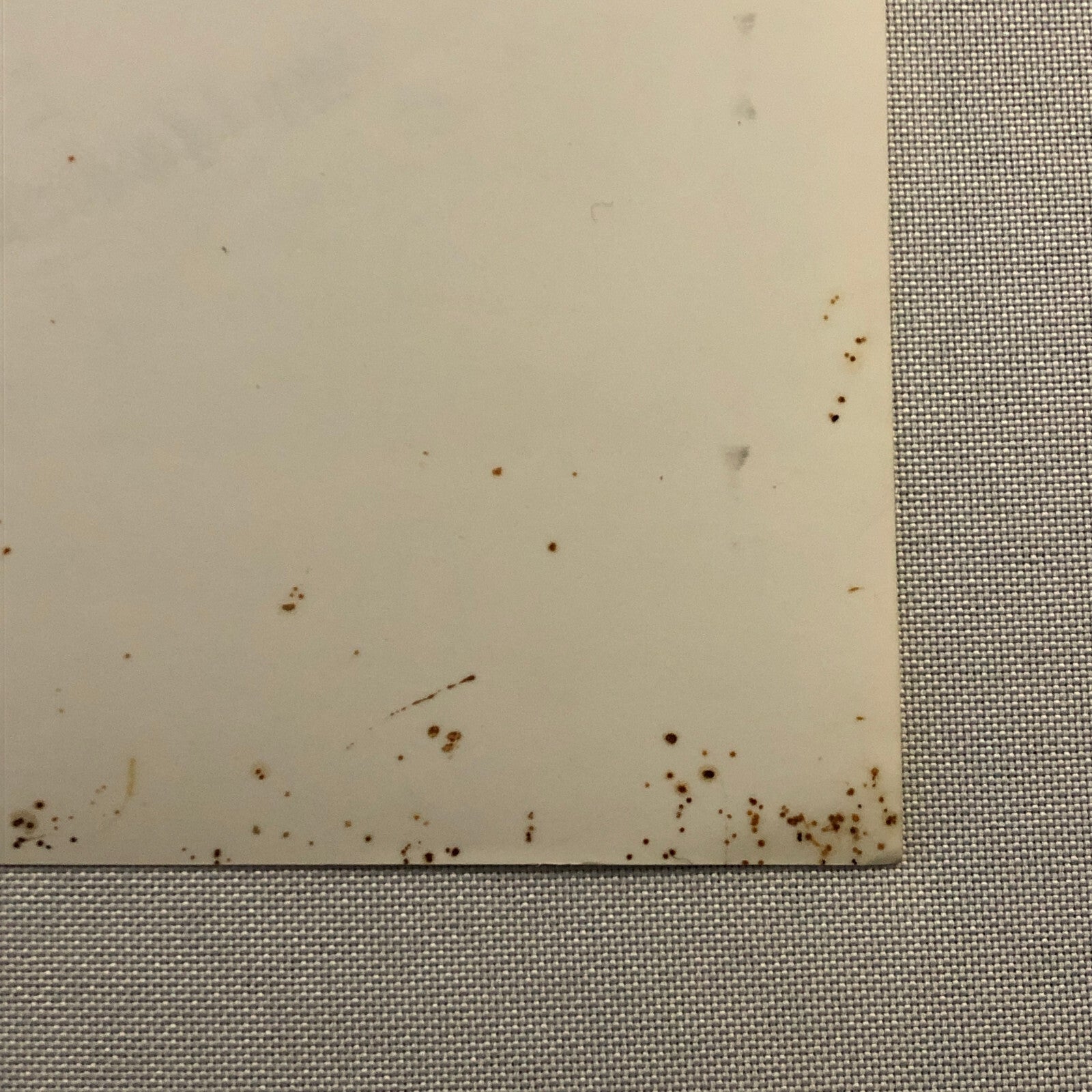 Muppet Treasure Island Movie Film Press Photo Photograph Print Kermit the Frog