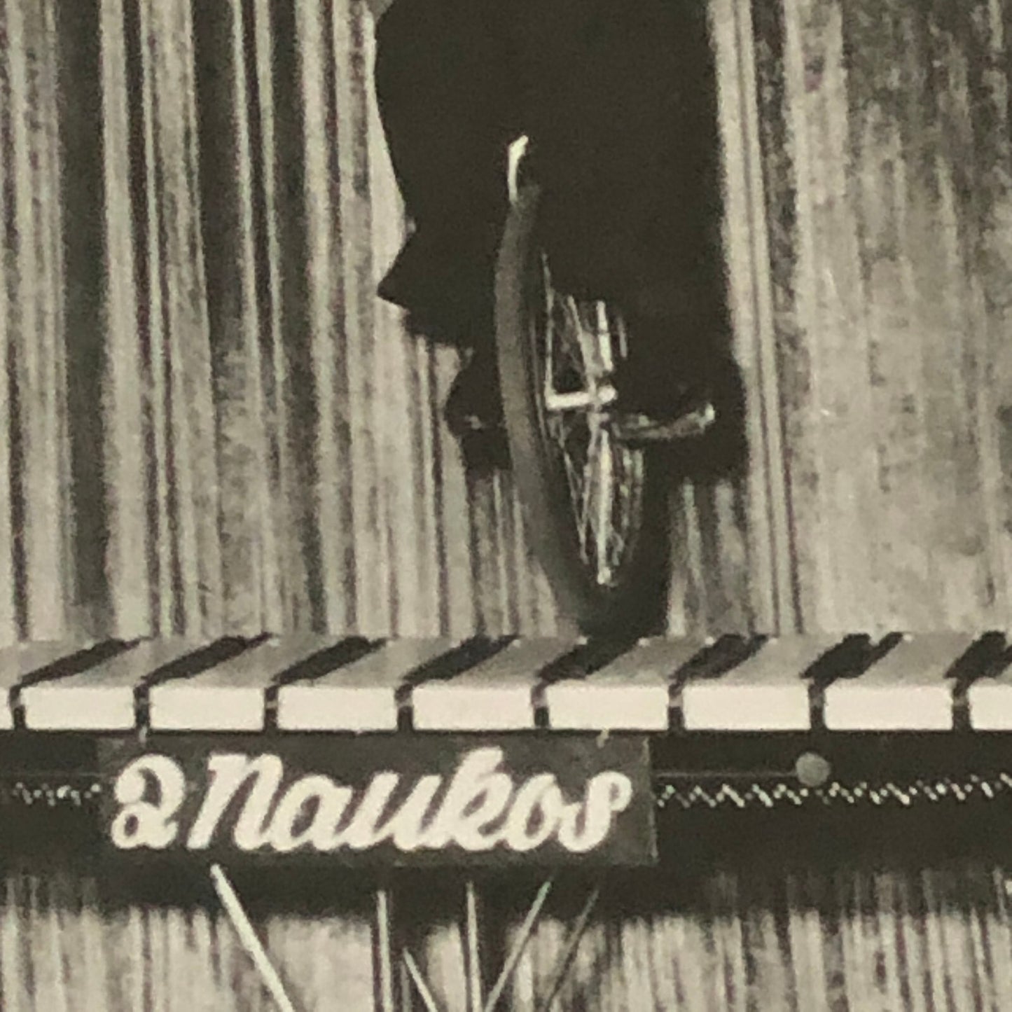 Circus Unicycle Balancing Act Performer Photo Photograph Vintage