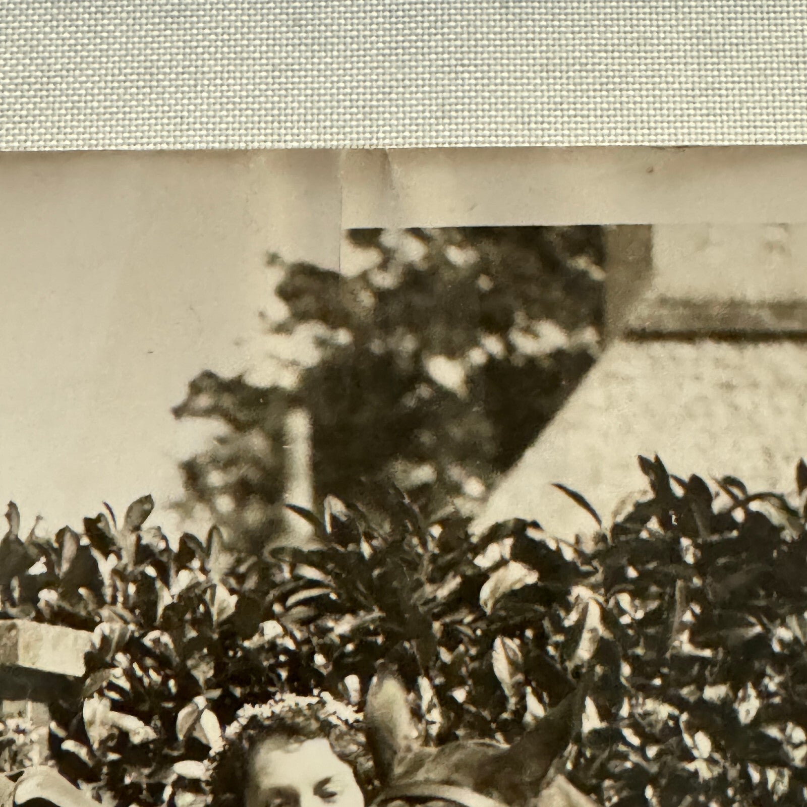 1934 Wedding Press Photo Photograph Horses British Nobles