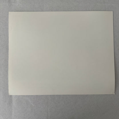 Surviving Picasso Anthony Hopkins Movie Still Press Photo Photograph Print 1996