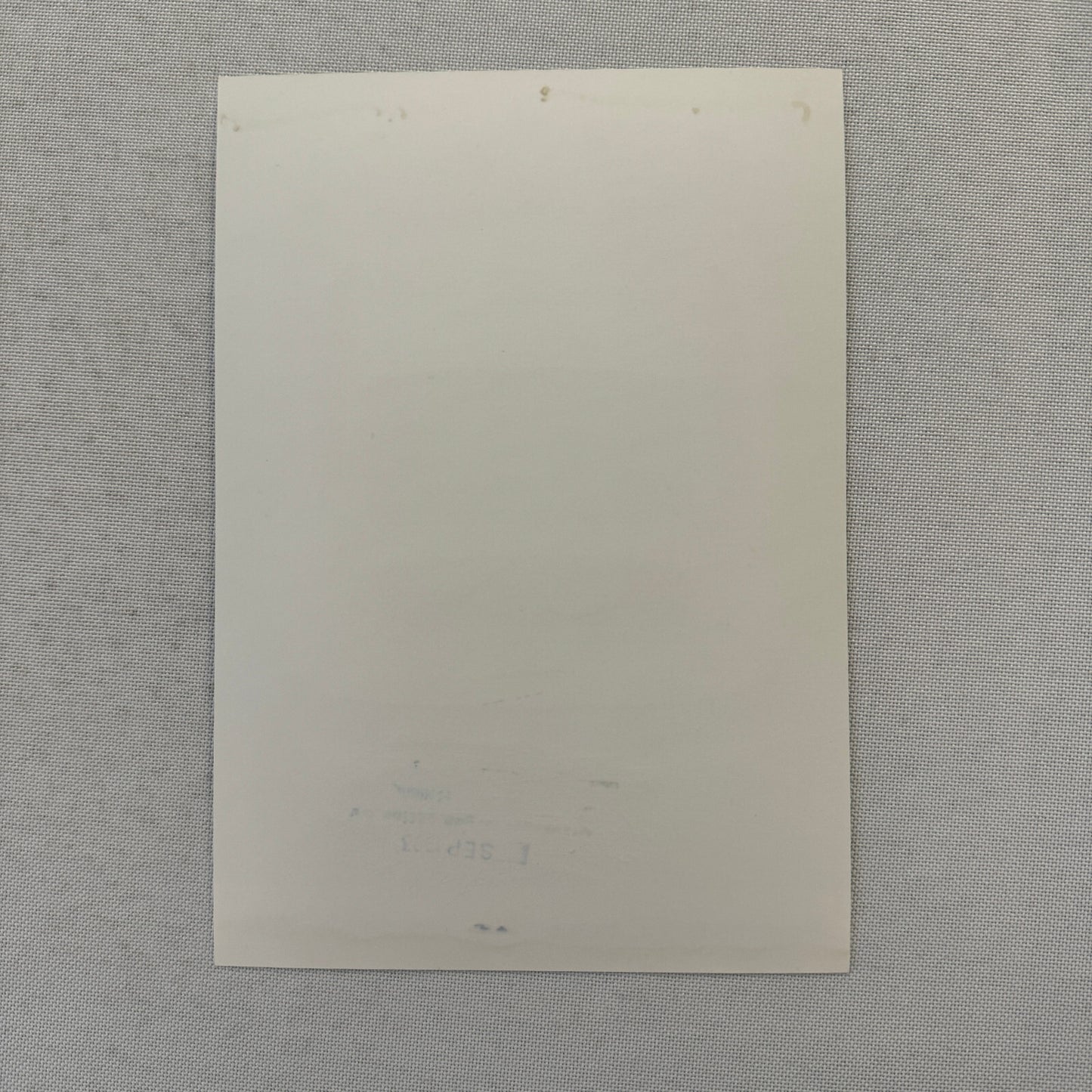 1994 Porsche 911 Carrera Factory Press Photo Photograph German