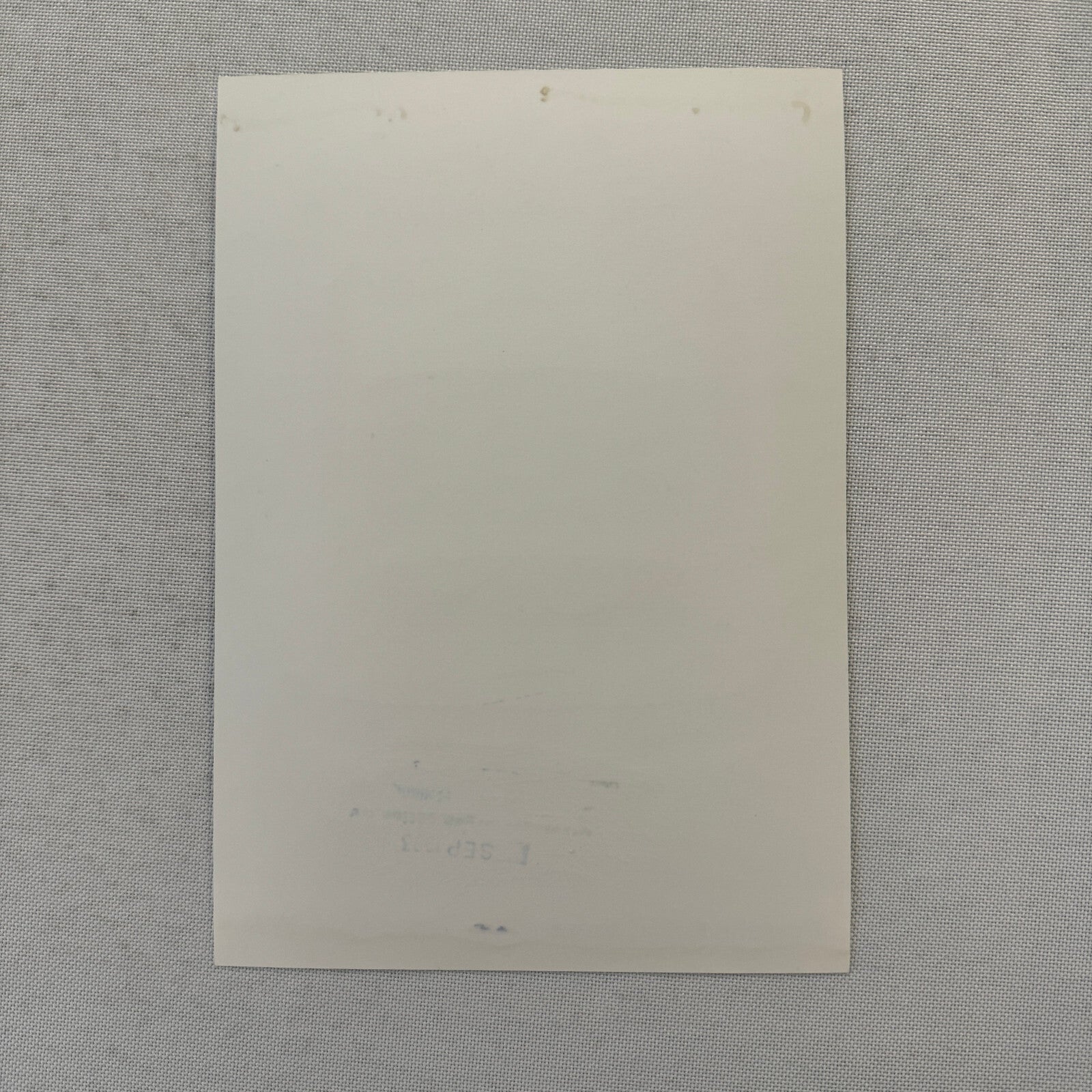 1994 Porsche 911 Carrera Factory Press Photo Photograph German