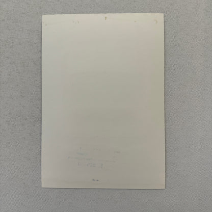 1994 Porsche 911 Carrera Factory Press Photo Photograph German