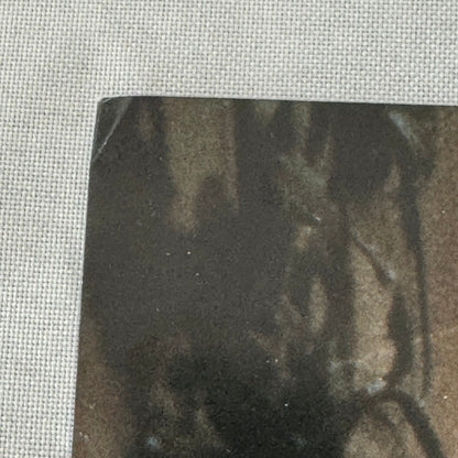 Vintage Movie Lobby Card Candy Man El Dominio De La Mente French Film