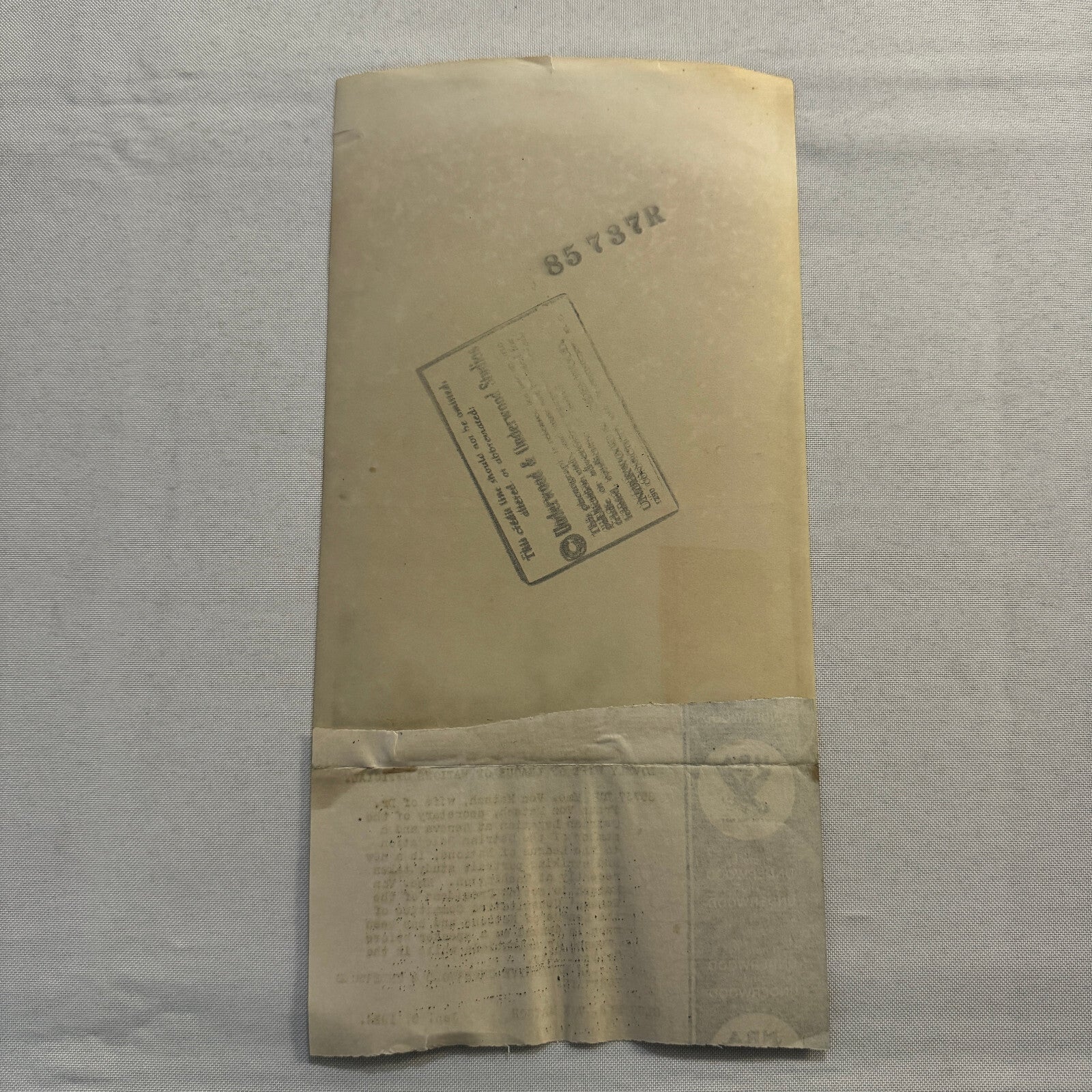 1934 Press Photo Photograph Wife of League of Nations Official with Dog