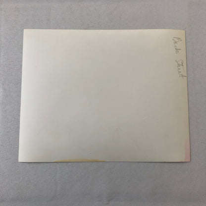 Vintage Movie Film Still Photo Photograph Print Irene Dunne