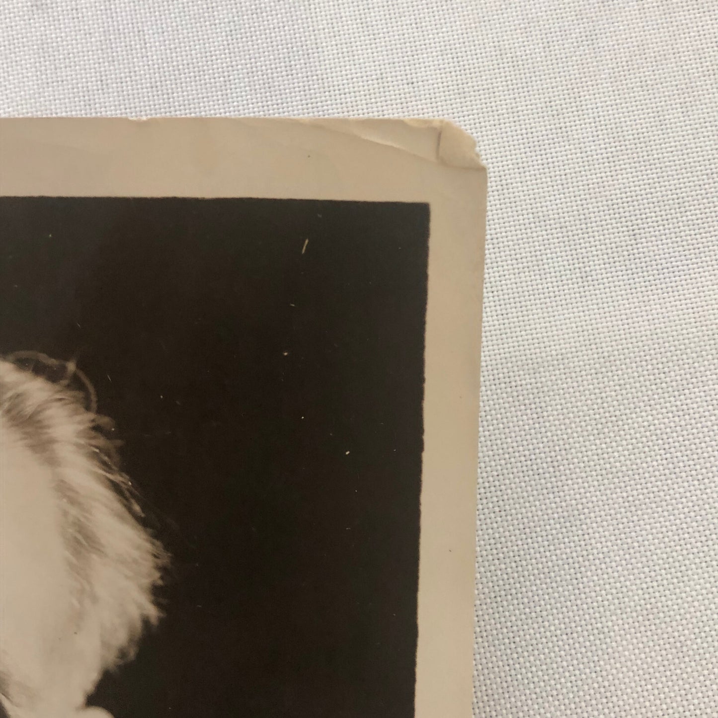 Press Photo Photograph Scientist University of Chicago Albert G Michelson Optics