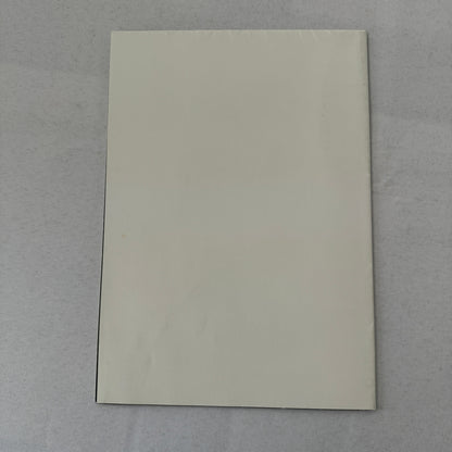 Williams BMW F1 Formula One Racing Poster Brochure German Text Compaq