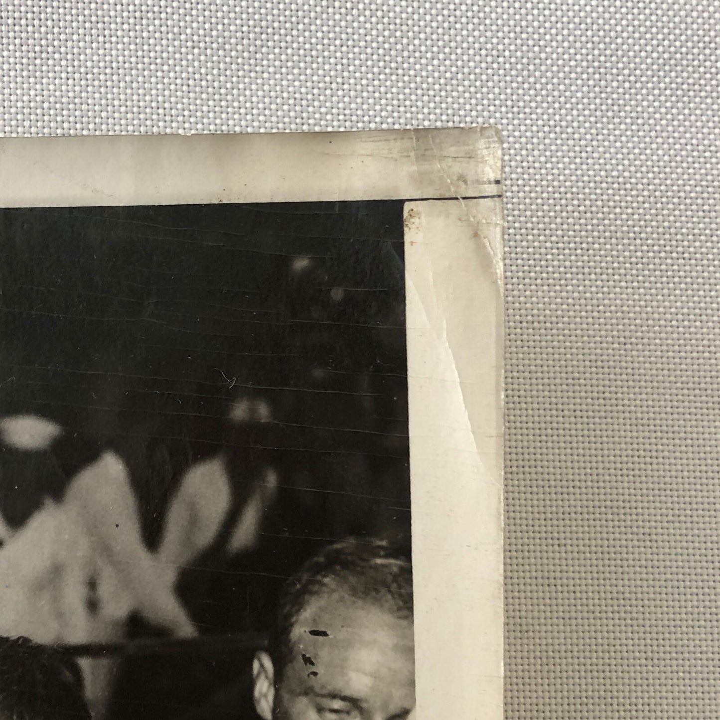 Press Photo Photograph President Franklin Roosevelt Leaves on Vacation 1934