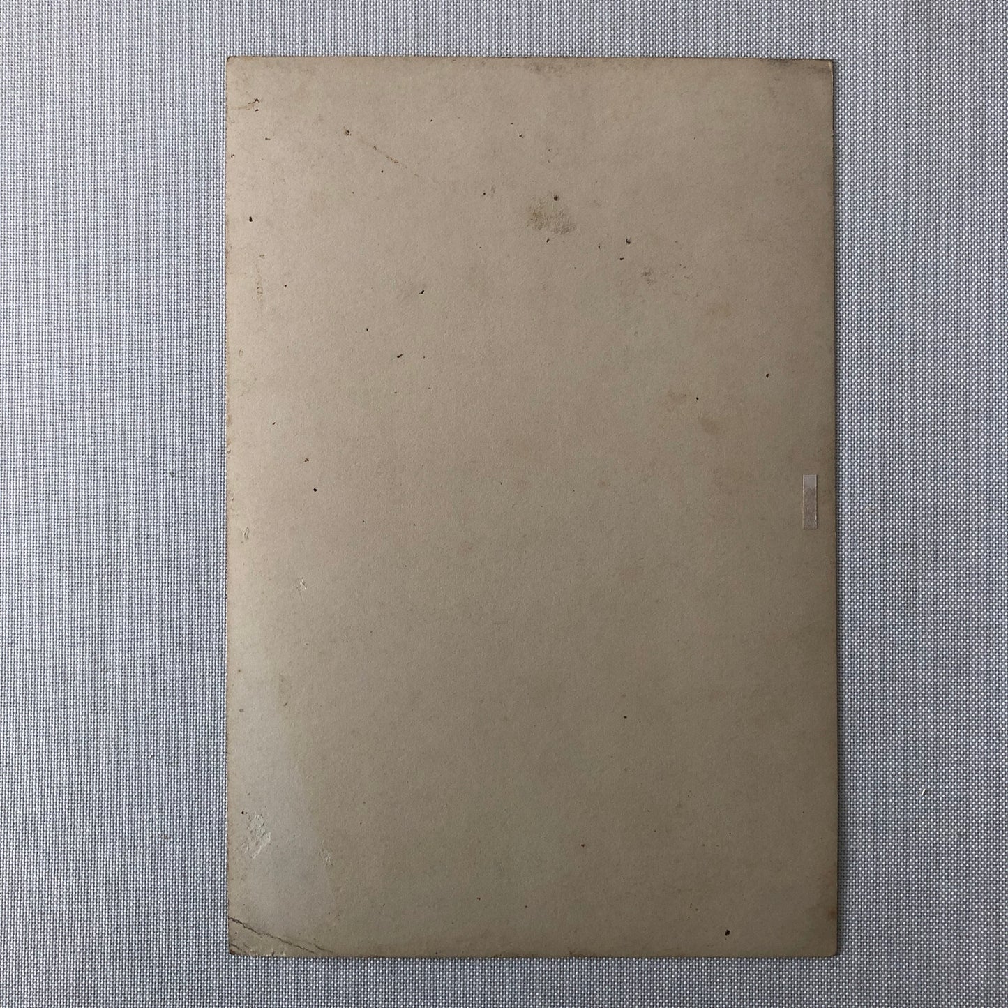 Circus Performer Dancer Acrobat Photo Photograph Print Vintage Signed