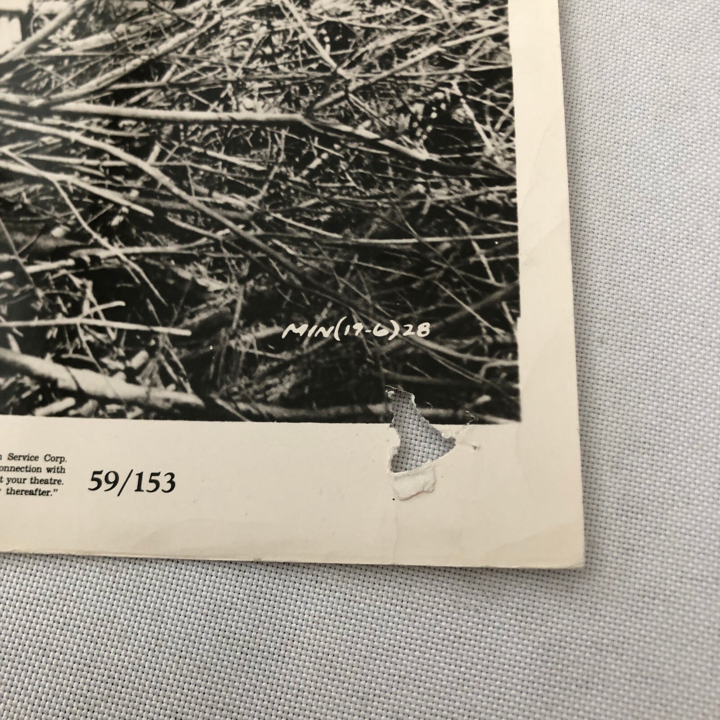 HUGE Celebrity Movie Film Star Still Press Photo Photograph Lot 100+ 1950s-1990s