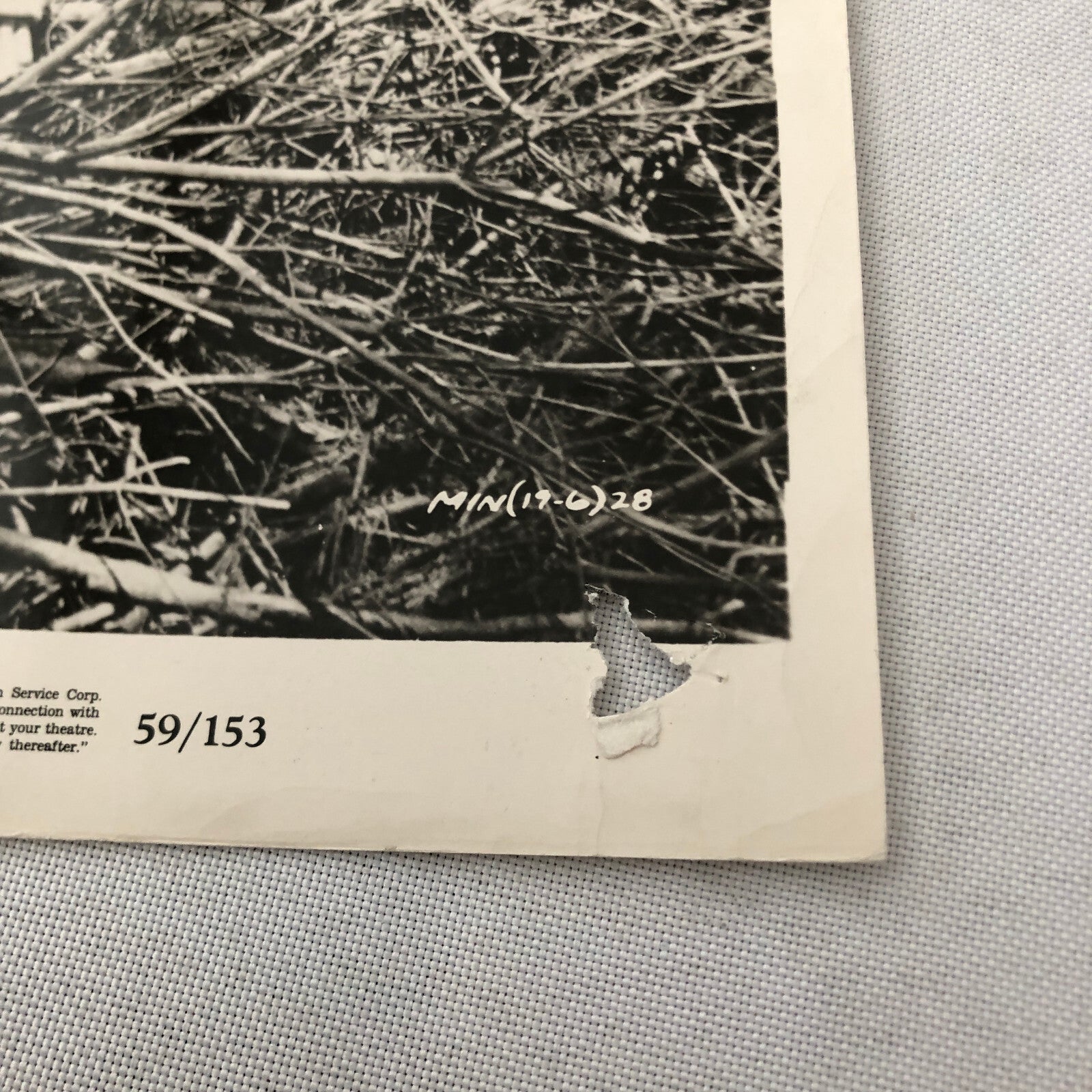 HUGE Celebrity Movie Film Star Still Press Photo Photograph Lot 100+ 1950s-1990s