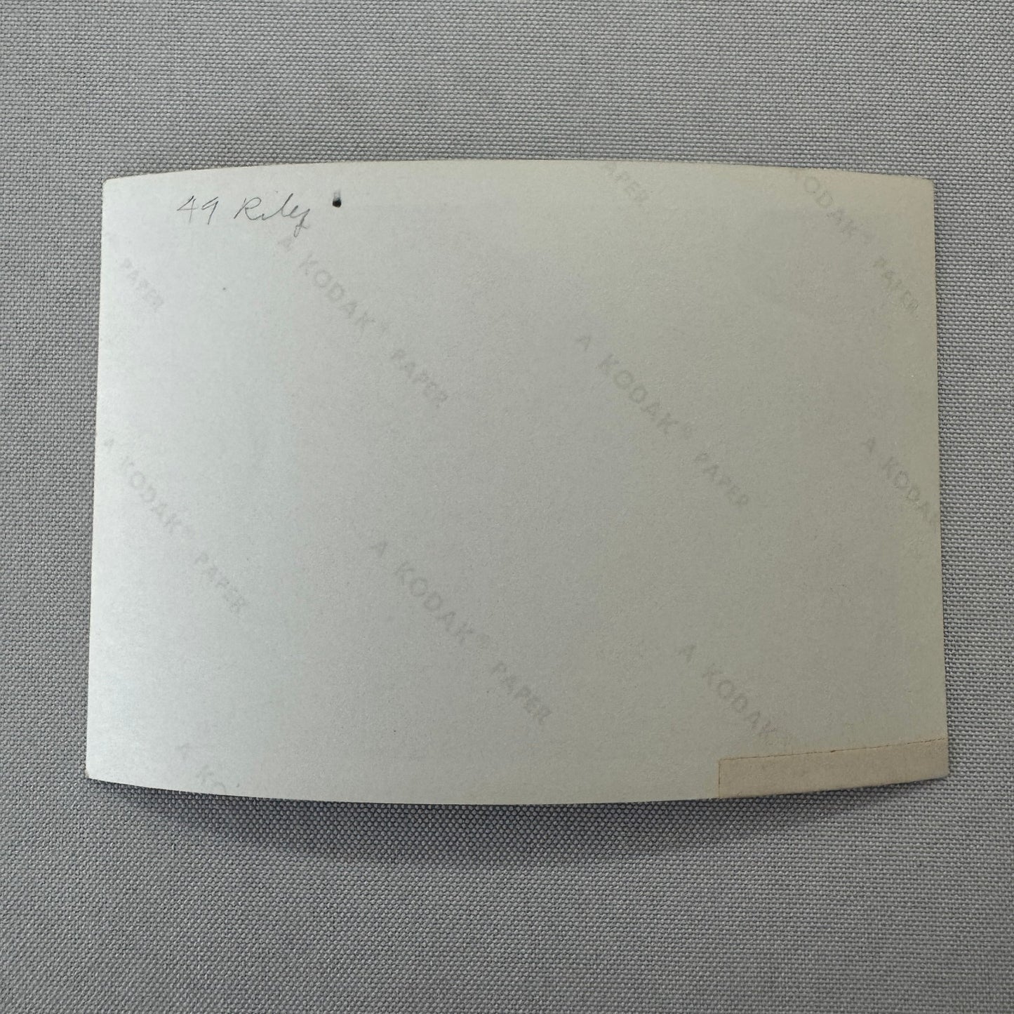 1949 Riley Car Photo Automobile Photograph Vintage