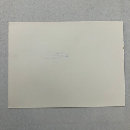 1980 Transafrica Rally Rallye Photo Photograph DPPI Jeep Truck Africa