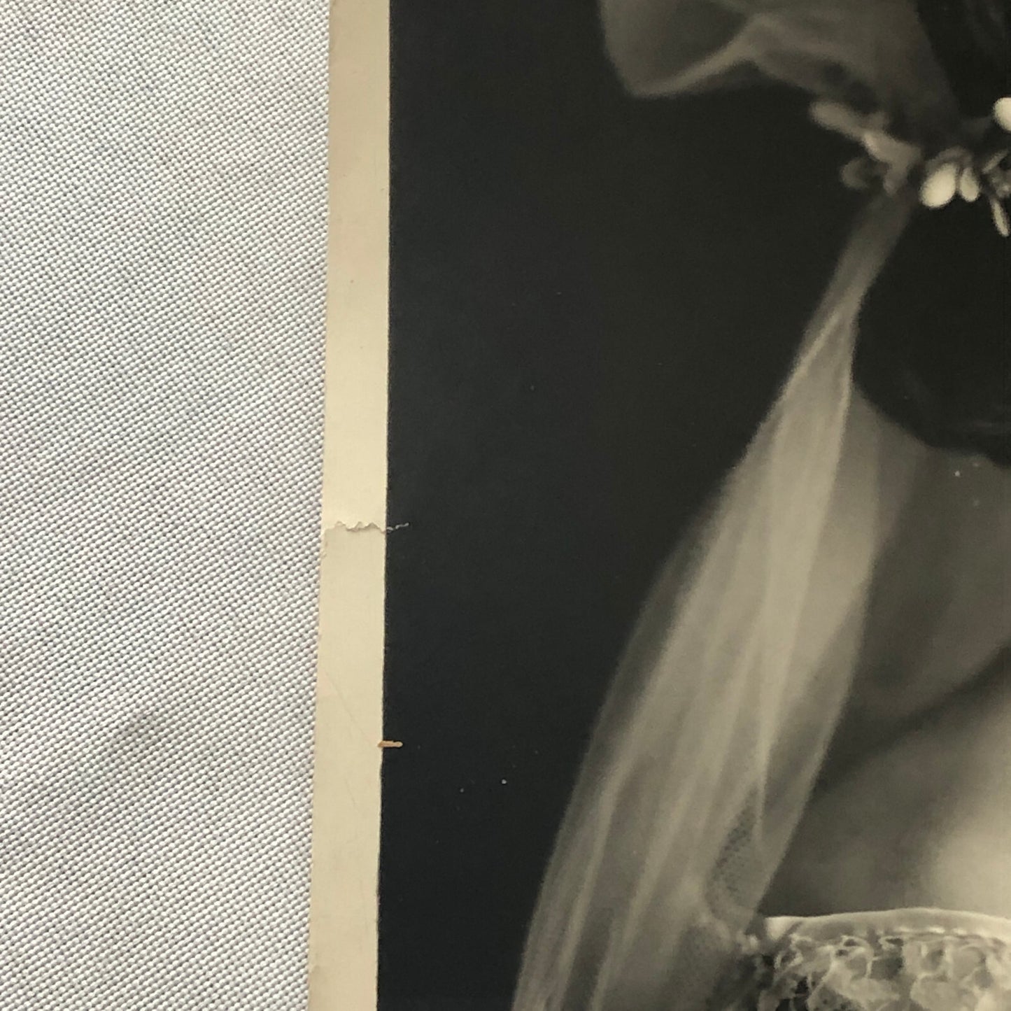 Press Photo Photograph Print Navy Daughter Wedding Catherine Cheatham 1922