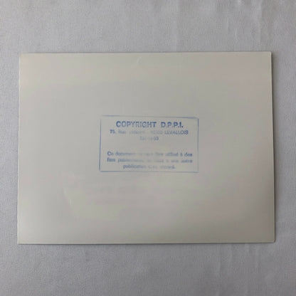 Vintage 1976 Formula 2 F2 Pau Grand Prix Racing Photo Photograph Chevron Car 