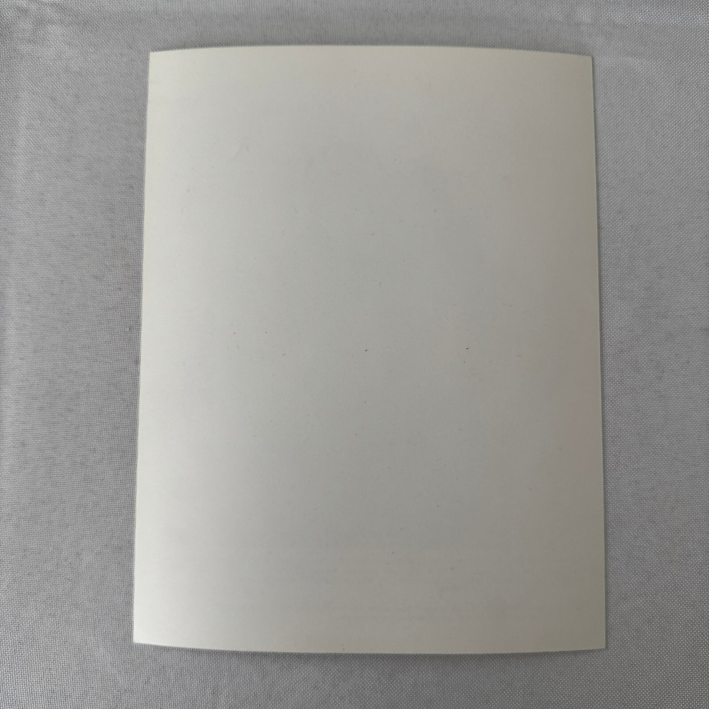 Get Smart Television TV Press Photo Photograph Don Adams Barbara Feldon 1989