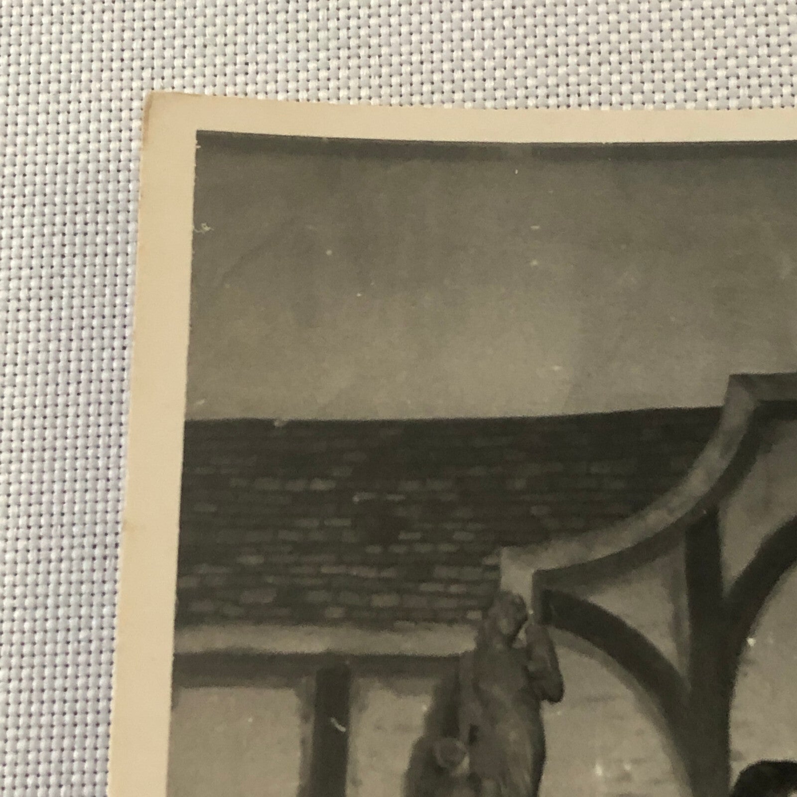 Circus Performer Balancing Act on Bicycle Photo Photograph Denmark