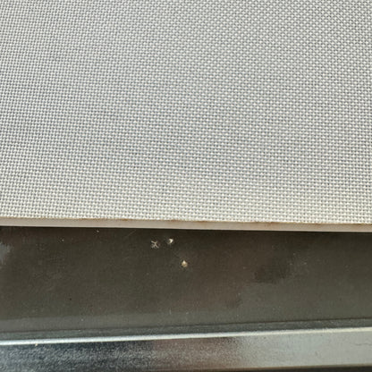 Vintage Circus Photo Les Rowlers Rollerskating Act Performer Photograph