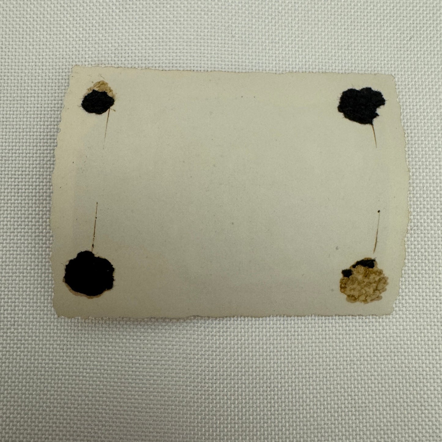 Vintage Motorcycle Bike Photo Photograph Print