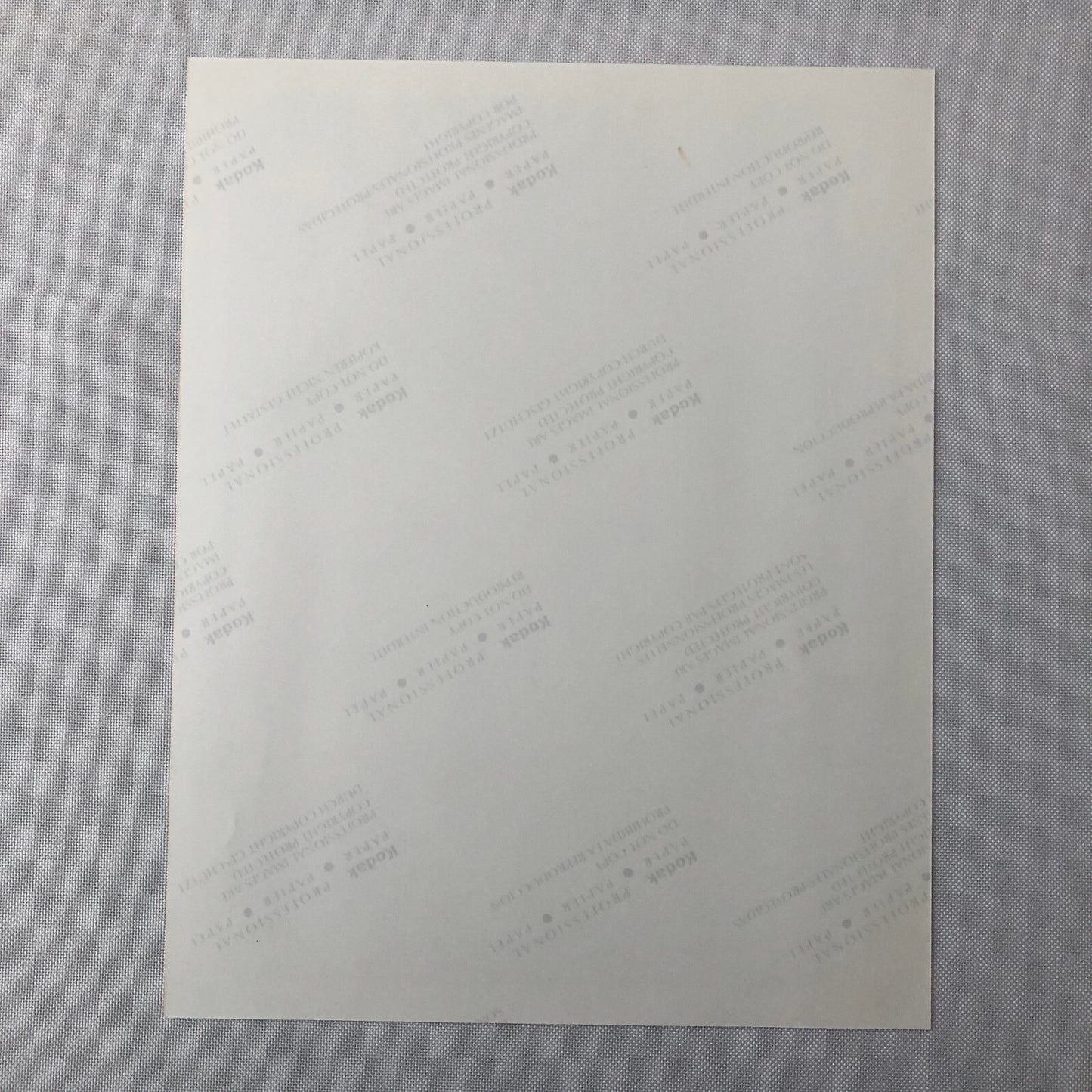 Vintage Indy Indianapolis Racing Photo Photograph Eddie Cheever Win 1998