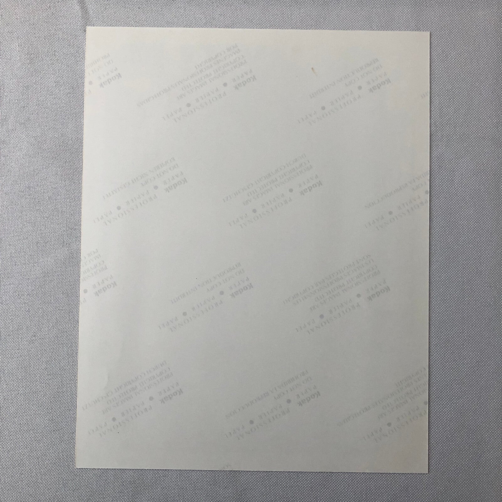 Vintage Indy Indianapolis Racing Photo Photograph Eddie Cheever Win 1998