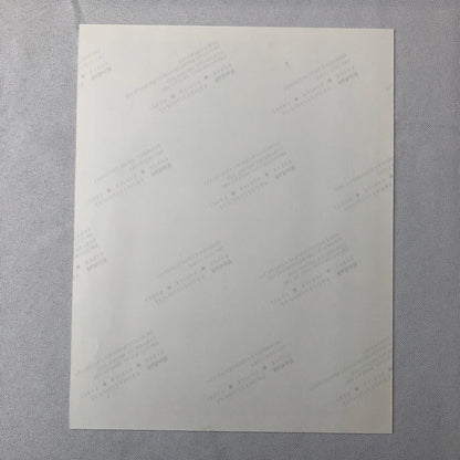 Vintage Indy Indianapolis Racing Photo Photograph Eddie Cheever Win 1998